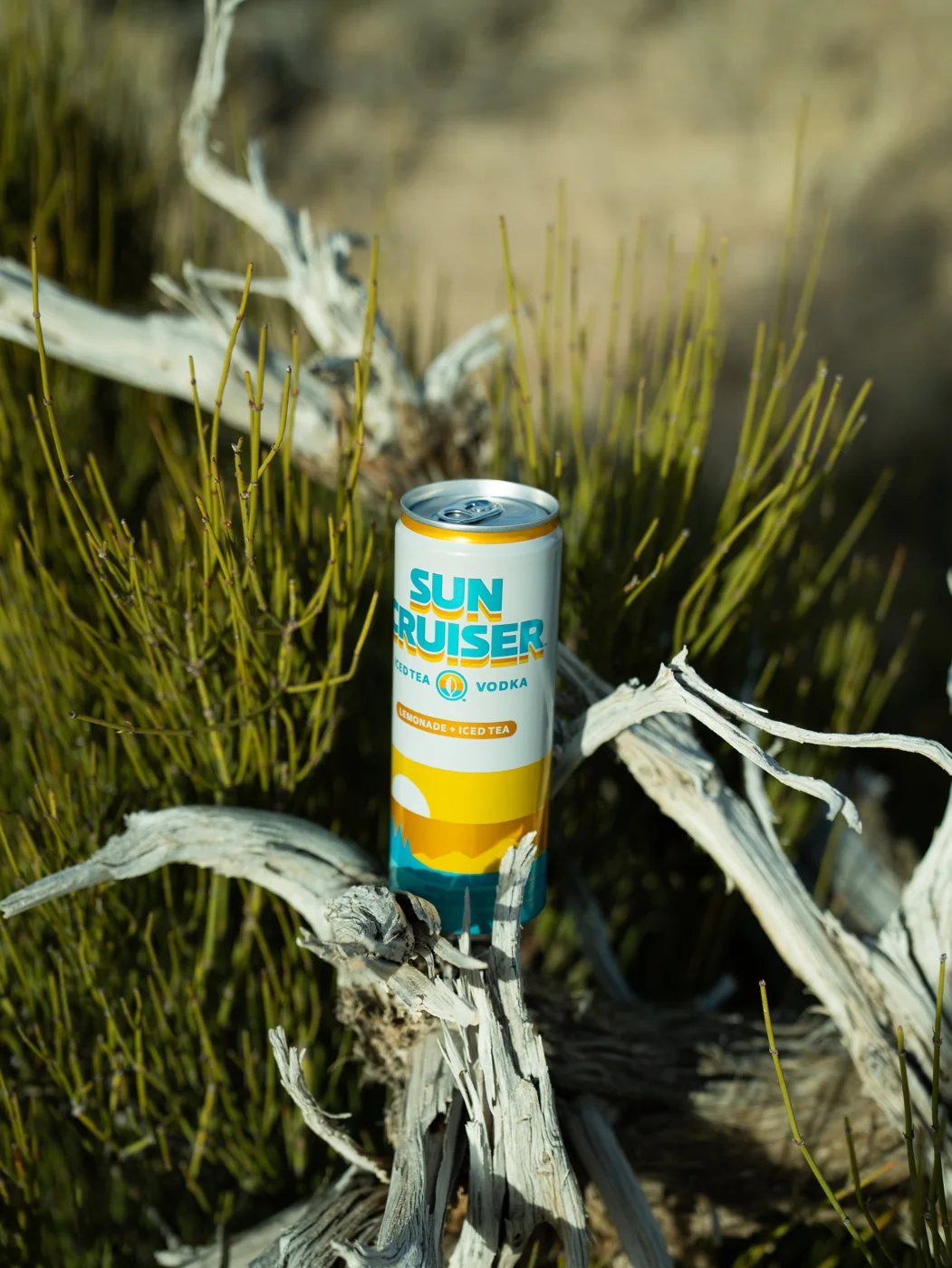 Sun Cruiser can photographed among desert brush and driftwood